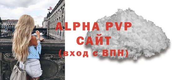 прущий лед Бородино