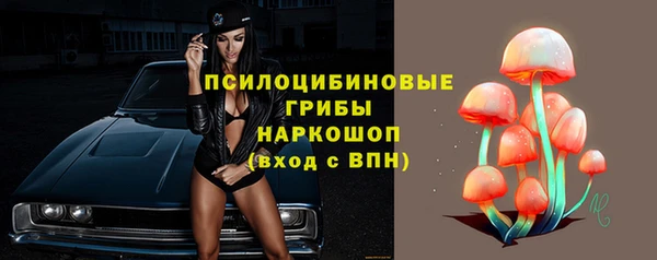 прущий лед Бородино