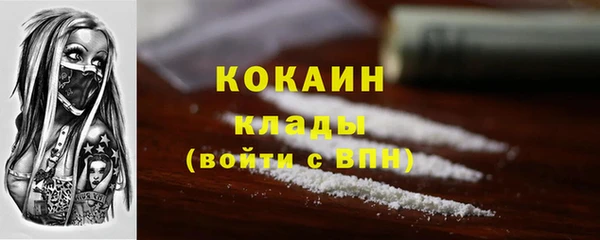прущий лед Бородино