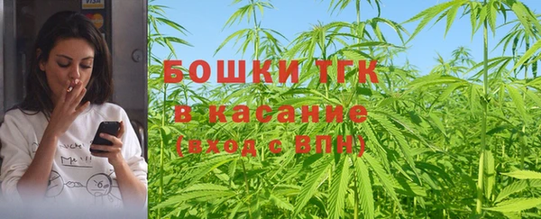 прущий лед Бородино