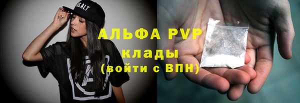 прущий лед Бородино