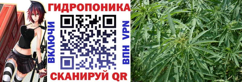 продажа наркотиков  Абакан  Бошки марихуана Bruce Banner 